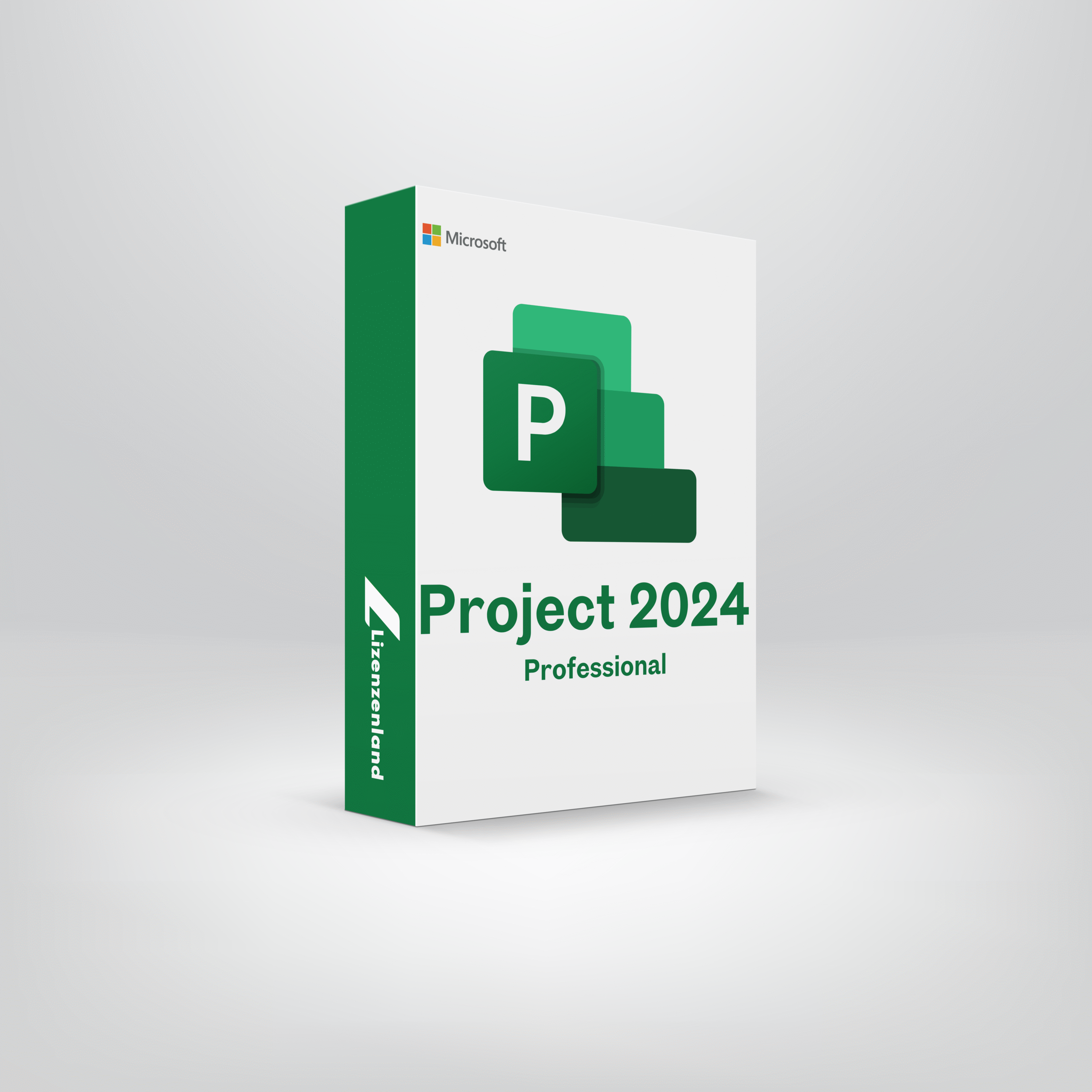 Project 2024 Professional